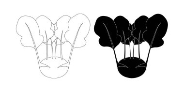 İki siyah kohlrabi, sebze, yapraklar..