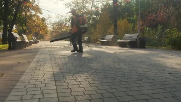 ブロワー付きの公園の男は塵と秋の葉を取り除きます — ストック動画