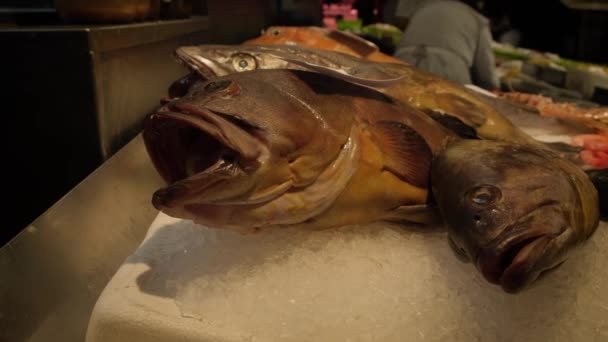 Rynek Rybny Targu Świeże Ryby Morskie Lodzie Zbliżenie — Wideo stockowe
