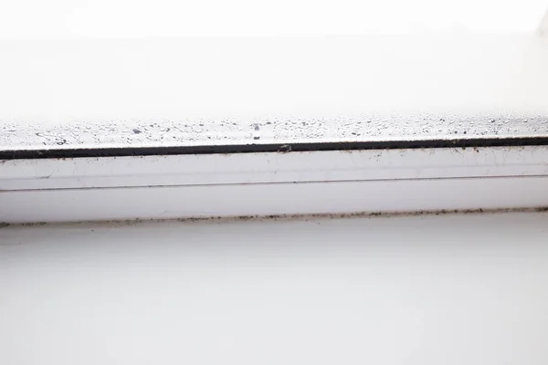Schimmel Auf Einem Nebeligen Kunststofffenster Weißer Farbe Nahaufnahme — Stockfoto