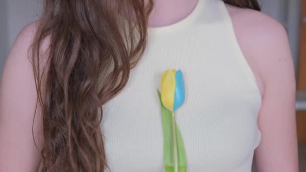 Çocuk Ukrayna Bayrağının Ellerinde Sarı Mavi Bir Lale Çiçeği Tutuyor — Stok video