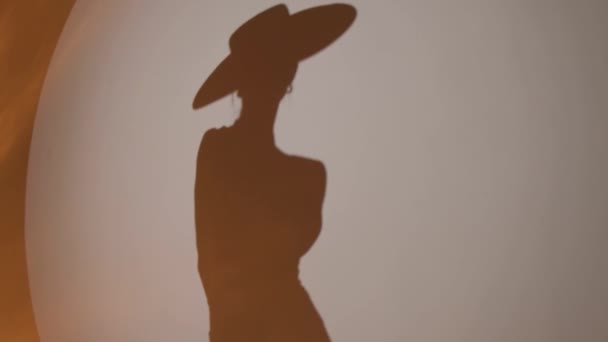 Silhouette Girl Hat White Background Studio — Stockvideo