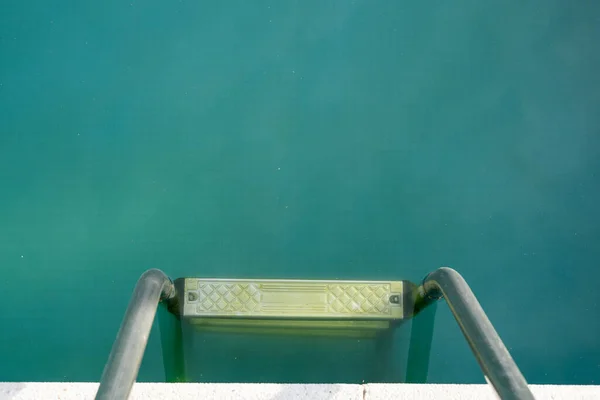 Piscina Com Água Verde Suja Close — Fotografia de Stock