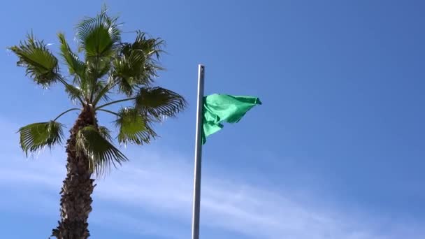 Bandera Verde Playa España Cerca Permiso Para Nadar Mar Aguas — Vídeo de stock