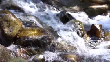 Derede kayalar, pürüzsüz akan su, yakın plan..