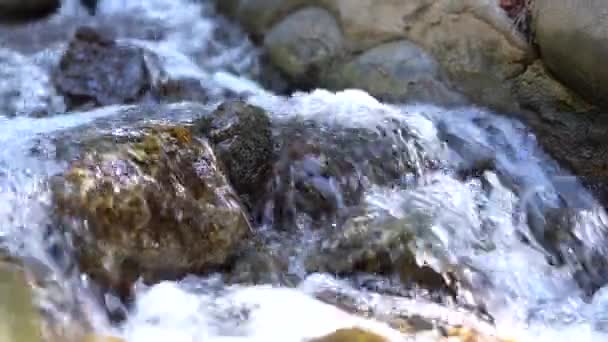 Skały Strumieniu Płynnie Płynącą Wodą Zbliżenie — Wideo stockowe