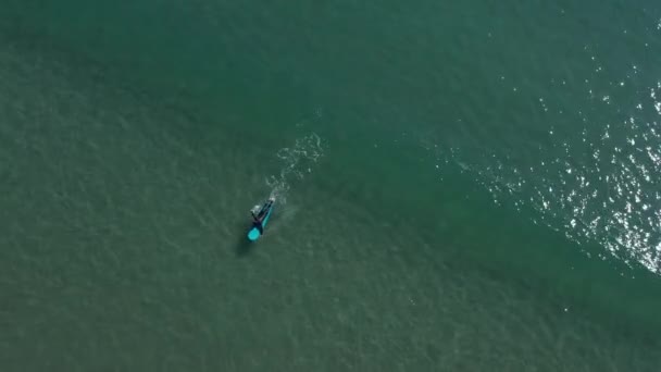 Surfer Schwimmen Meer Schießen Von Oben — Stockvideo