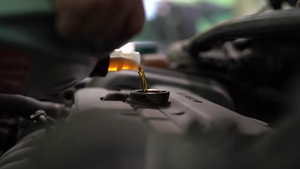 Hälla Olja Till Bilmotor Närbild — Stockvideo