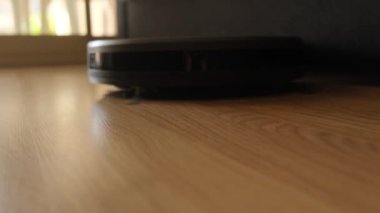 Robotlar evcil hayvan kılı ve toz temizlemek için oturma odasındaki halı temizleyicilerini temizler..