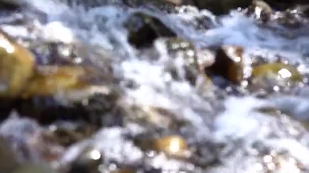 Video Sfocato Rocce Ruscello Con Scorrimento Fluido Dell Acqua Primo — Video Stock