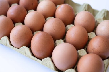 Beyaz arka planda tepside taze tavuk yumurtası..