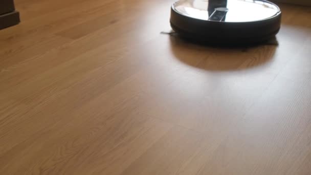 ペットの髪とほこりをきれいにするためのリビングルームのカーペットの上のロボット掃除機 — ストック動画