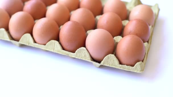 Beyaz Arka Planda Tepside Taze Tavuk Yumurtası Bir Erkeğin Eli — Stok video