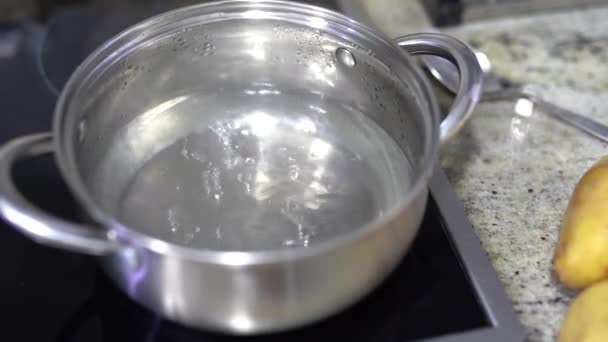在电炉上的平底锅里烧开水 — 图库视频影像