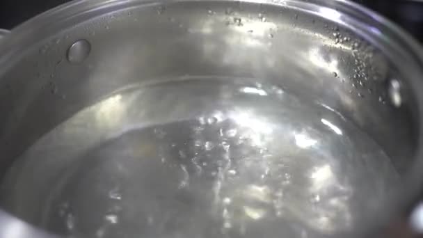Βραστό Νερό Μια Κατσαρόλα Ένα Κοντινό Ηλεκτρικό Φούρνο — Αρχείο Βίντεο