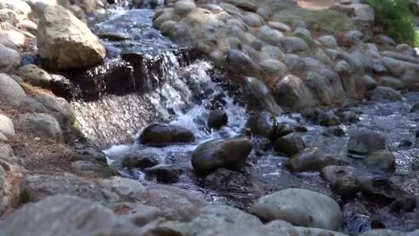 Rocks Stream Smoothly Flowing Water Close — Stock Video