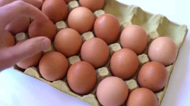 Beyaz Arka Planda Tepside Taze Tavuk Yumurtası Bir Erkeğin Eli — Stok video
