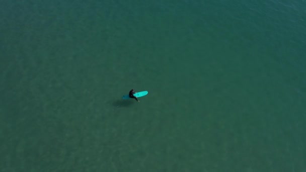 Серфери Плавають Морі Зйомки Зверху — стокове відео