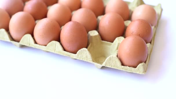 바탕에 쟁반에 닭고기 갈색의 달걀을 넣는다 이알을 품는다 — 비디오