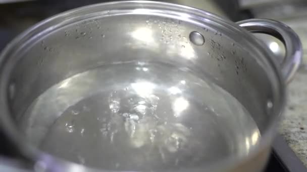 Boiling Water Saucepan Electric Stove Close — Stock Video