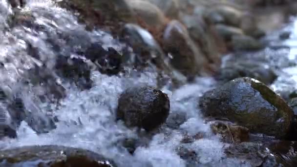 Felsen Einem Bach Mit Sanft Fließendem Wasser Aus Nächster Nähe — Stockvideo