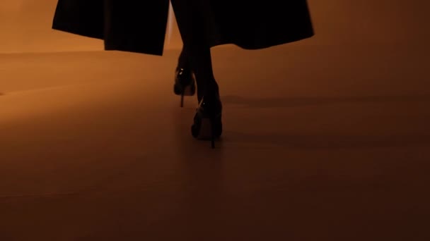 Patas Femeninas Zapatos Negros Tacón Alto Modelo Marcha Hermosa — Vídeo de stock