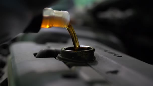 Pouring Oil Car Engine Close — Stock Video