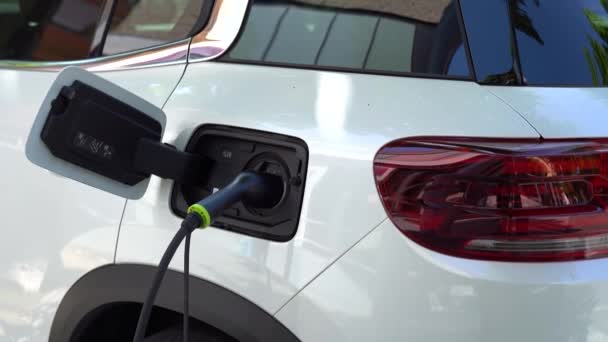 Estação Carregamento Para Carro Close Energia Verde Carro Ambientalmente Amigável — Vídeo de Stock