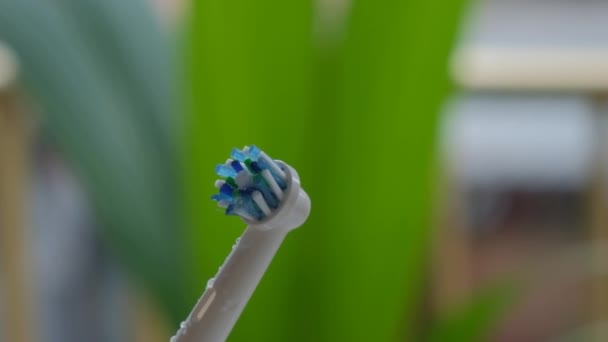 Elektrische Zahnbürste Mit Wassertropfen Zeitlupe — Stockvideo