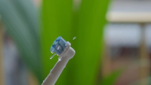Damlalı Elektrikli Diş Fırçası Yavaş Çekim — Stok video