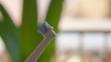 Yeşilliğin arka planında elektrikli diş fırçası yakın plan.