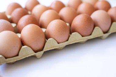 Beyaz arka planda tepside taze tavuk yumurtası..