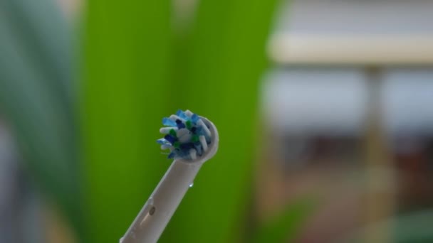 Yeşilliğin Arka Planında Elektrikli Diş Fırçası Yakın Plan — Stok video