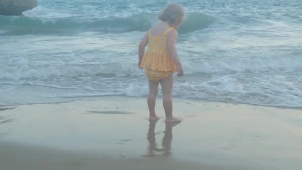 해변에있는 소녀는 파도를보고있다 — 비디오