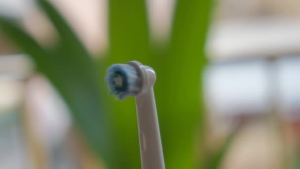 Электрическая Зубная Щетка Крупным Планом Фоне Зелени — стоковое видео