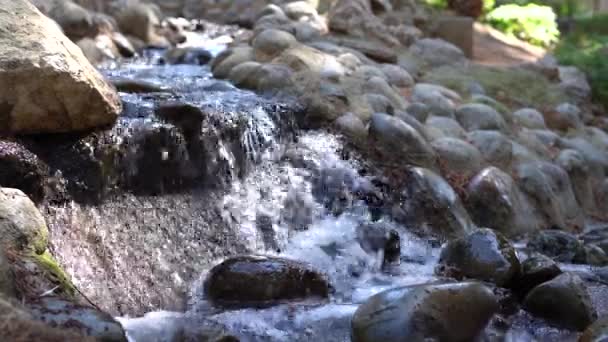 Скелі Струмку Плавно Тече Вода Крупним Планом — стокове відео