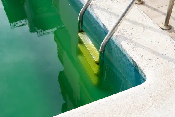 Swimming pool with dirty green water close-up.