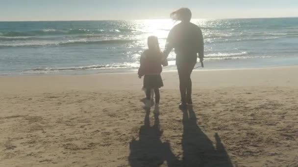 Ibu Dengan Putri Dan Anjingnya Berjalan Jalan Pantai Dengan Latar — Stok Video