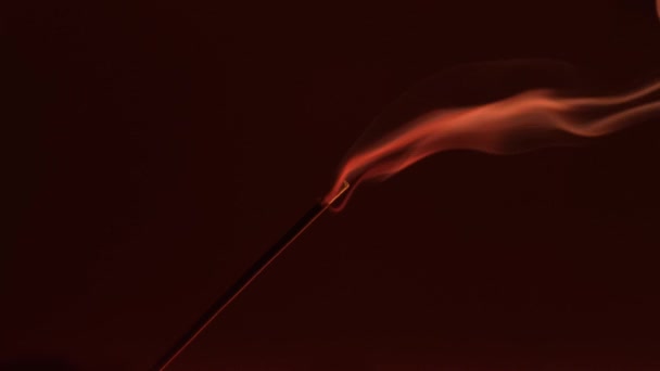 Smoke Incense Stick Close Dark Background — Stock Video