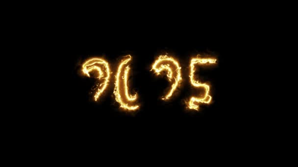 2025 Animation Fire Text Black Background New Year — Stock Video