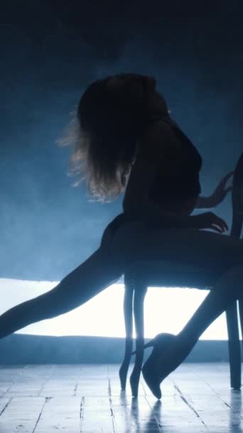 Silhouette Une Fille Sexy Dansant Une Danse Sensuelle Érotique Fumée — Video