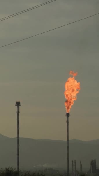 Спалювання Факела Хімічній Станції Викиди Шкідливих Речовин Атмосферу Вертикальне Відео — стокове відео