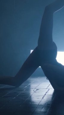 Mavi dumanla erotik dans eden seksi bir kızın silueti. Dikey video.