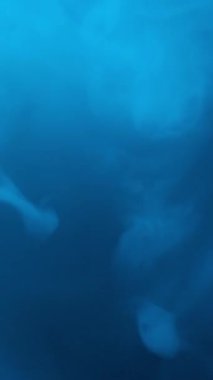 Çok renkli dumanın dokusu. Buhar, duman bulutu. Dikey video.