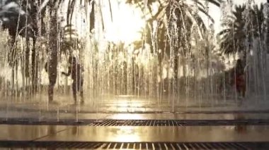 Çocuklar güneşli bir yaz gününde çeşmede oynarlar..