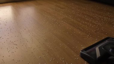 Elektrikli süpürgeyle bir apartmanın döşemelerinin etkili temizlenmesi..