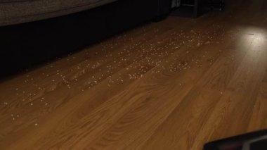 Elektrikli süpürgeyle bir apartmanın döşemelerinin etkili temizlenmesi..