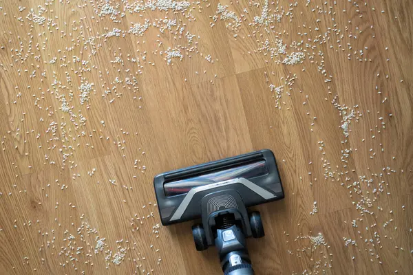 Elektrikli süpürge hortumu dağınık pirinç tanelerini ahşap zemin temizleme, dağınıklık ve ev bakımı konseptinden topluyor..