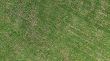 Green Roundabout: Grassy Central Oasis 'in Hava Görüntüsü