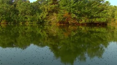 Skater Serenity: Suyun üzerinde süzülen Göl Patencileri